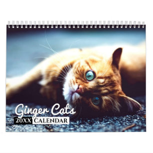 Calendario de pared de fotos de Ginger Cats 2022