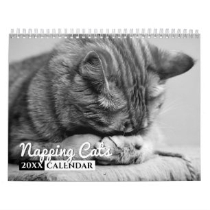 Calendario de pared de fotos de Napping Cats 2022