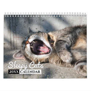 Calendario de pared de fotos de Sleepy Cats 2022