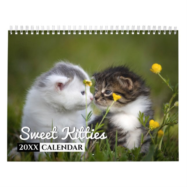 Calendario de pared de fotos de Sweet Kitties (Tapa)
