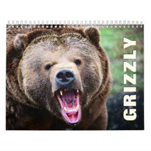 Calendario de Pared de Grizzly Bears 2022