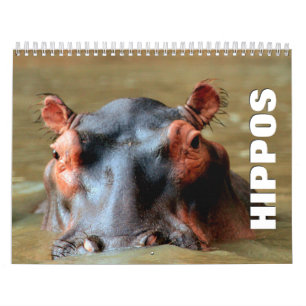 Calendario de pared de Hippopótamo