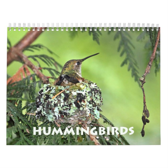 Calendario de pared de Hummingbird (Tapa)