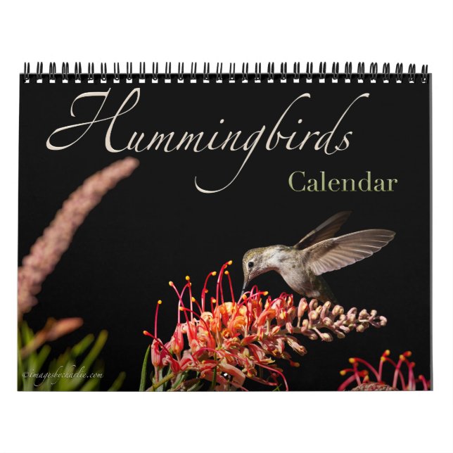 Calendario de Pared de Hummingbird 2026 (Tapa)