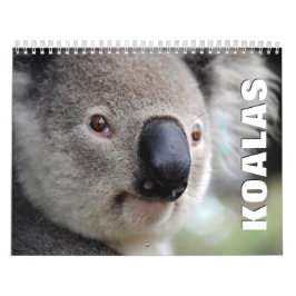 Calendario de pared de Koalas