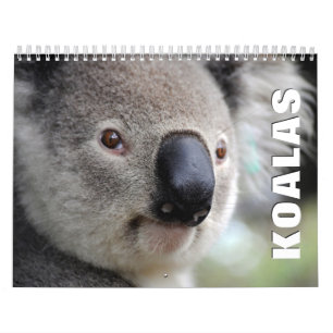 Calendario de pared de Koalas 2022