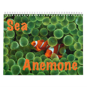 Calendario de pared de la anémona de mar