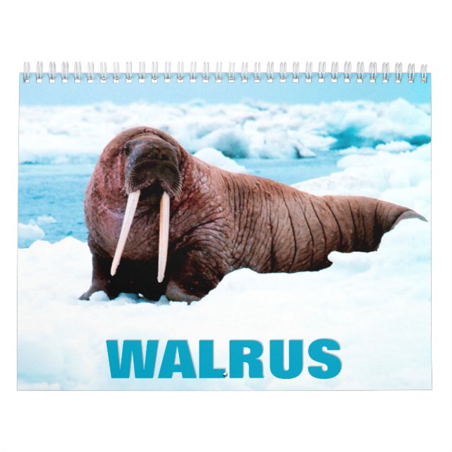 Calendario de pared de la cartera (Tapa)
