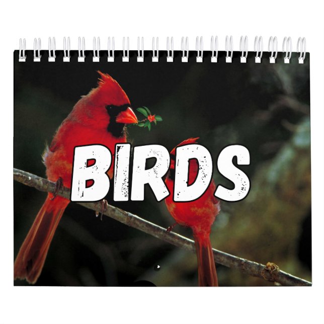 Calendario de pared de la colección de aves (Tapa)