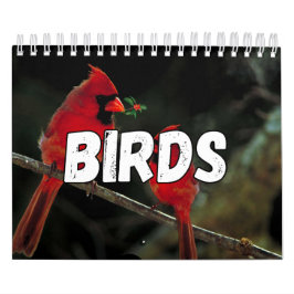 Calendario de pared de la colección de aves