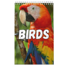 Calendario de pared de la colección de aves