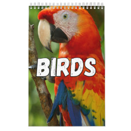 Calendario de pared de la colección de aves