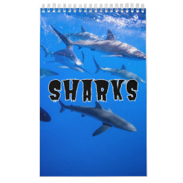 Calendario de pared de la colección de tiburones