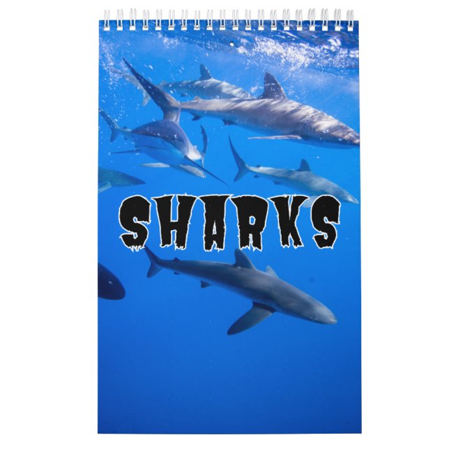 Calendario de pared de la colección de tiburones (Tapa)