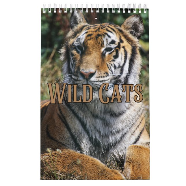 Calendario de pared de la colección Wildcats (Tapa)