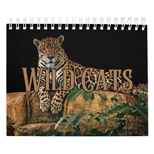 Calendario de pared de la colección Wildcats (Tapa)