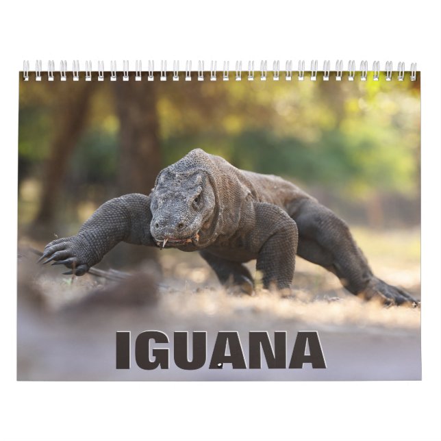 Calendario de Pared de la Iguana (Tapa)