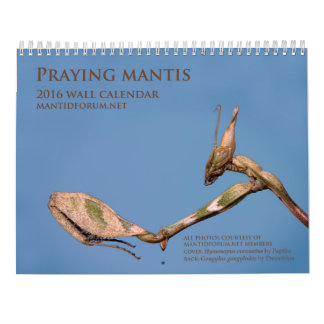 calendario de pared de la mantis religiosa de
