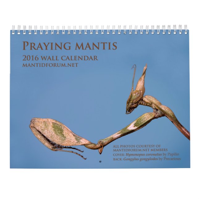 calendario de pared de la mantis religiosa de (Reverso)
