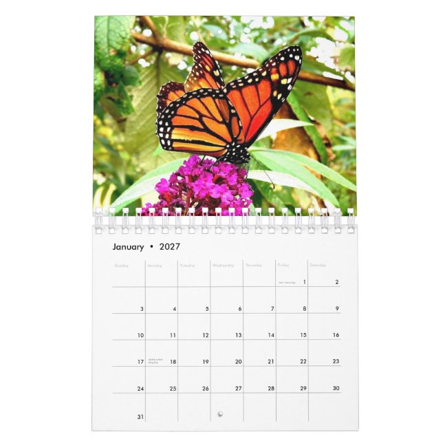 Calendario de pared de la mariposa de monarca (Jan 2027)