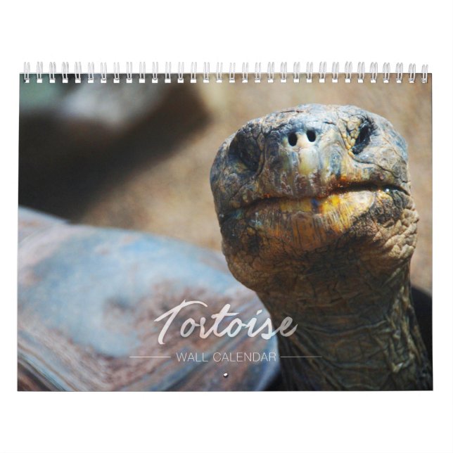 Calendario de pared de la tortuga (Tapa)