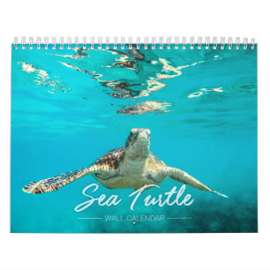 Calendario de pared de la tortuga de mar 2019