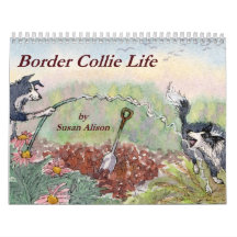Calendario de pared de la vida del border collie