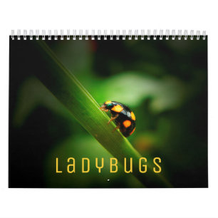 Calendario de pared de Ladybugs 2022