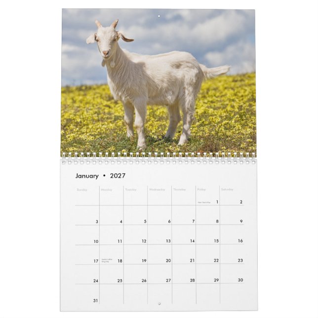 Calendario de pared de las cabras (Jan 2027)