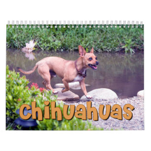 Calendario de pared de las chihuahuas