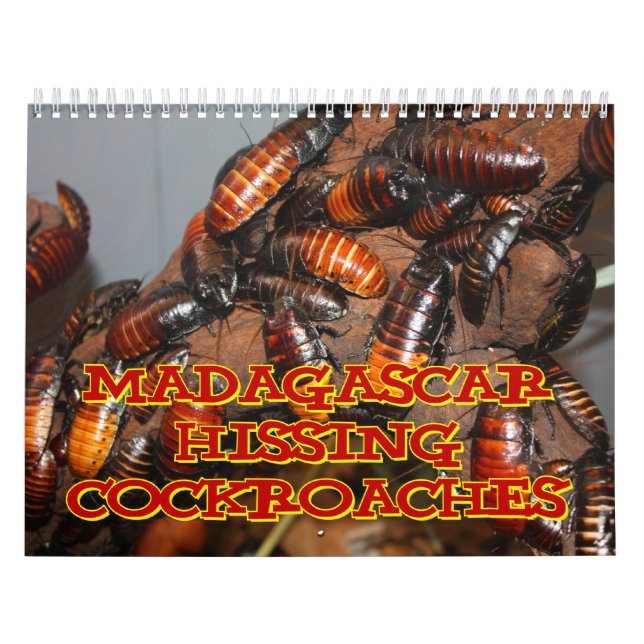 Calendario de pared de las cucarachas de (Tapa)