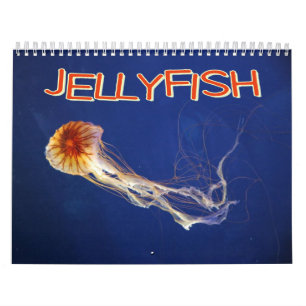 Calendario de pared de las medusas