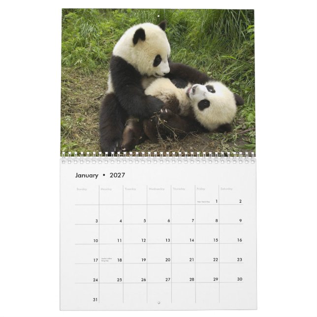 Calendario de pared de las pandas (Jan 2027)