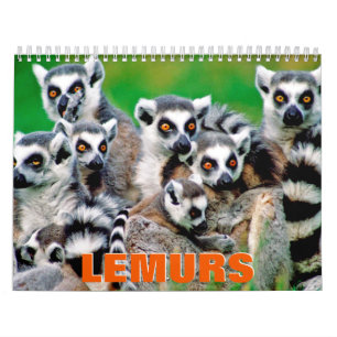 Calendario de pared de Lemurs 2022