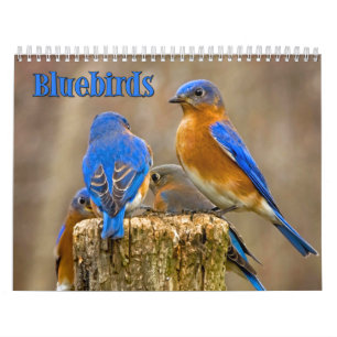 Calendario de pared de los Bluebirds