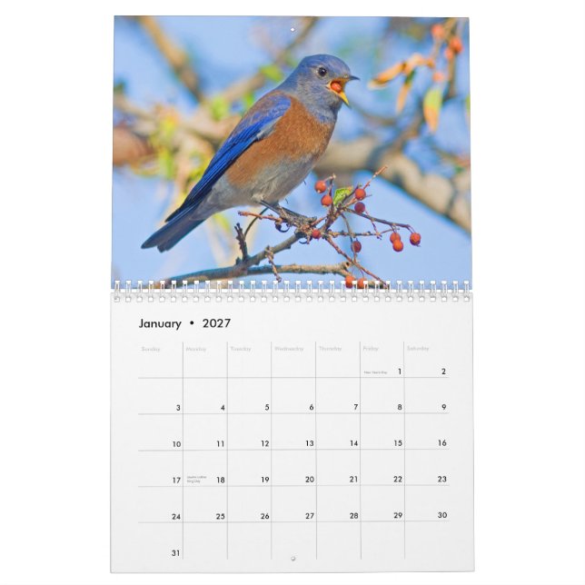 Calendario de pared de los Bluebirds (Jan 2027)