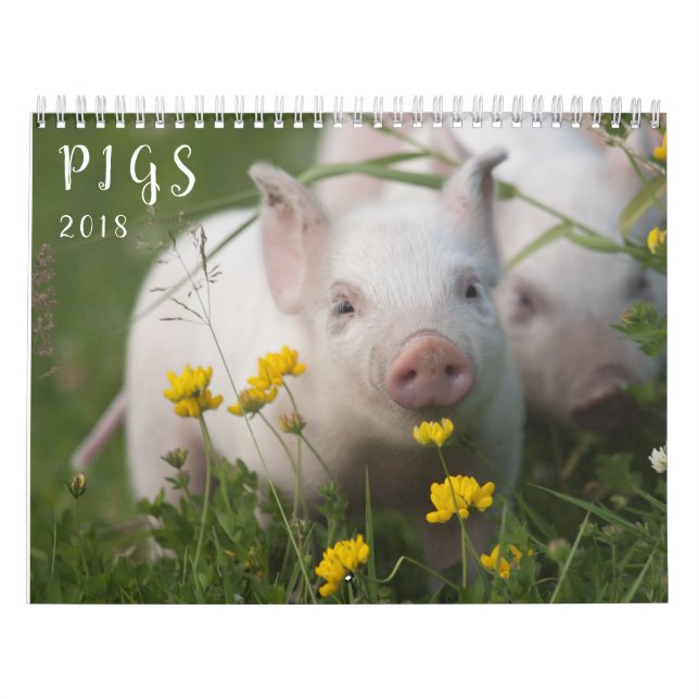 Calendario de pared de los cerdos - sonrisa en (Tapa)