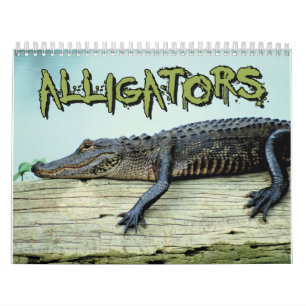 Calendario de pared de los cocodrilos