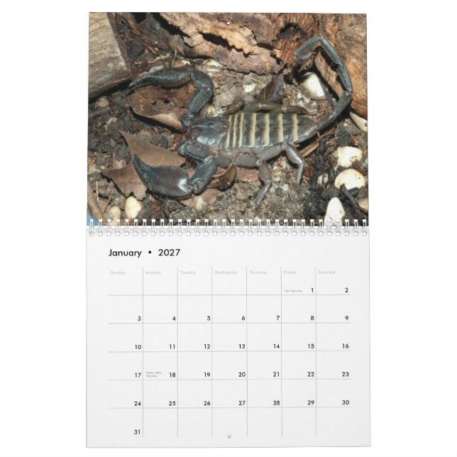 Calendario de pared de los escorpiones (Jan 2027)