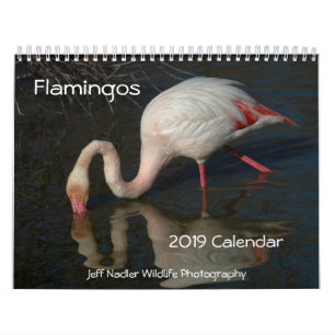 Calendario de pared de los flamencos 2019