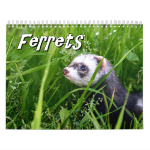 Calendario de pared de los hurónes