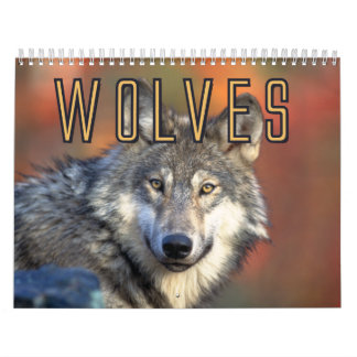 Calendario de pared de los lobos