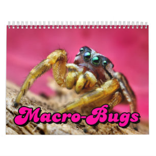 Calendario de pared de los Macro-Insectos
