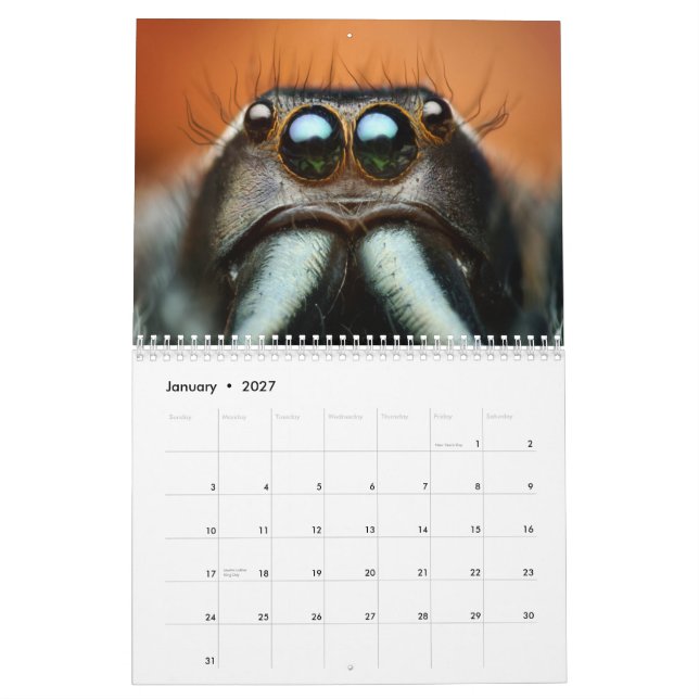 Calendario de pared de los Macro-Insectos (Jan 2027)