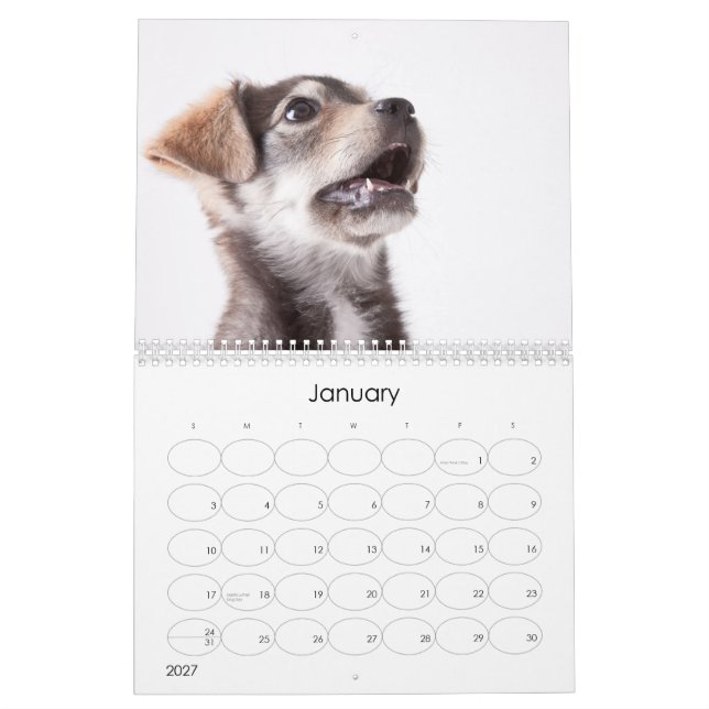 Calendario de pared de los perritos 2012 del (Jan 2027)