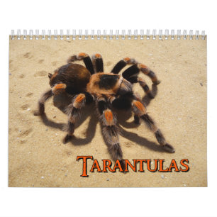 Calendario de pared de los Tarantulas