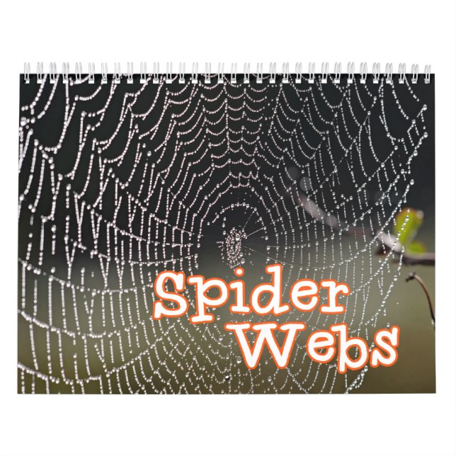 Calendario de pared de los Web de araña (Tapa)