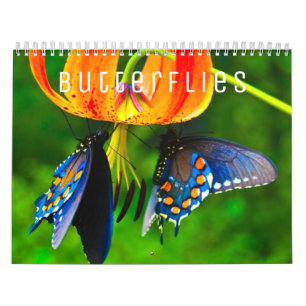 Calendario de pared de mariposas 2022