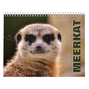Calendario de pared de Meerkats 2022
