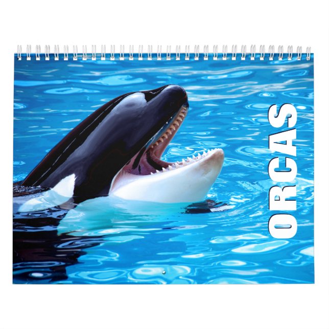 Calendario de pared de Orcas (Tapa)